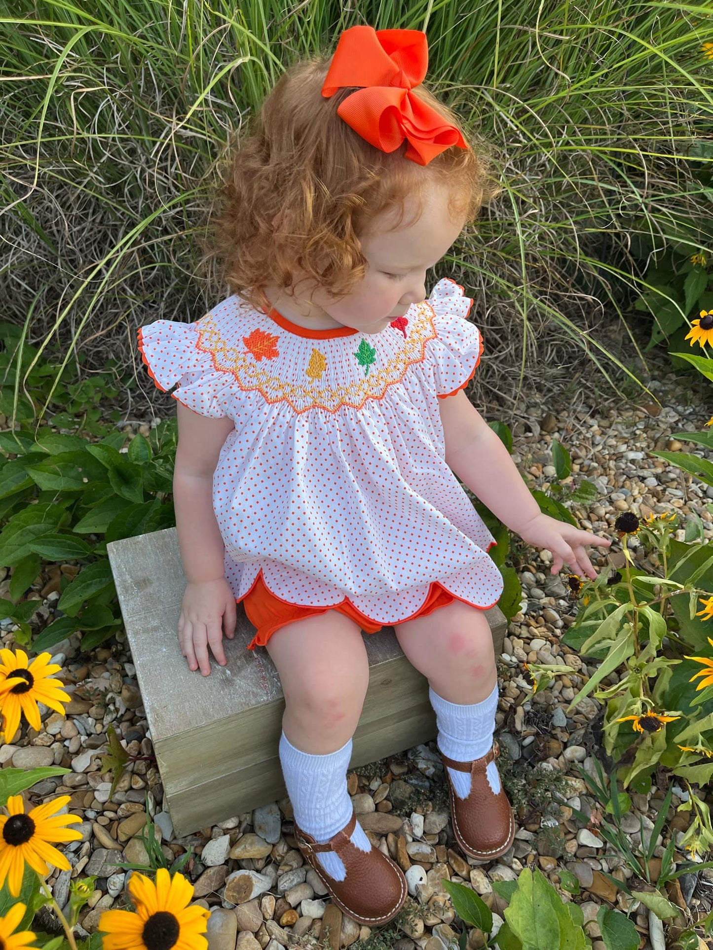 Geometric Smocking Fall Leaves - Bloomer Set